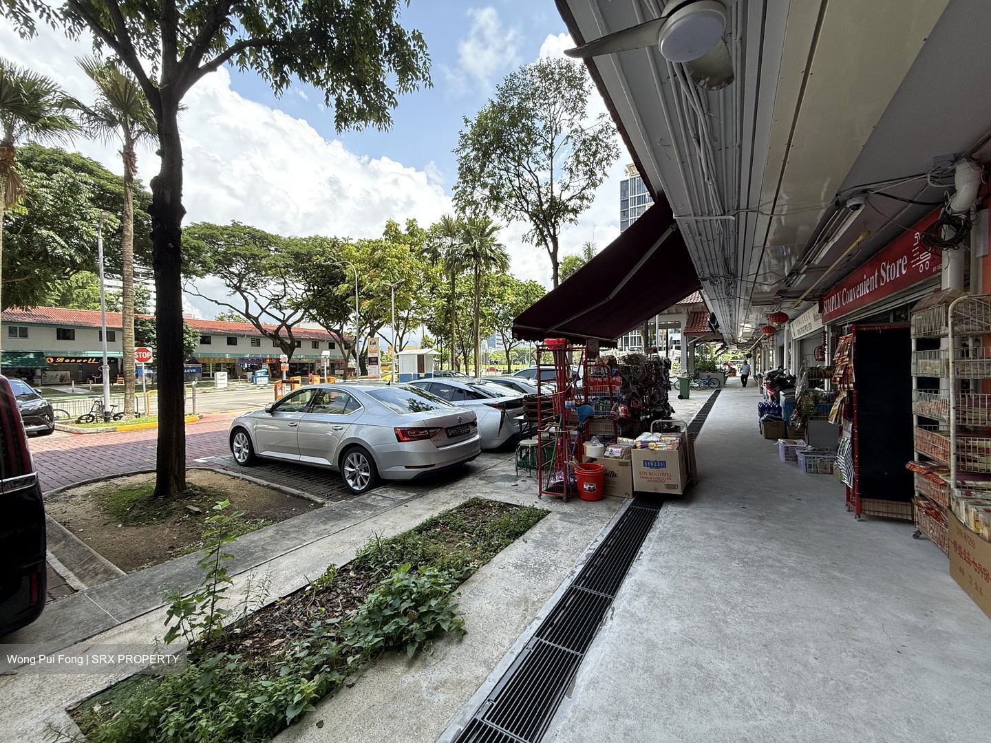 SIMS VISTA (D14), Shop House #478370151